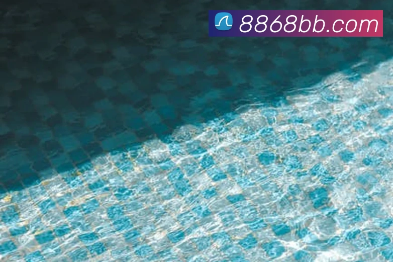 8868体育APP 封面图